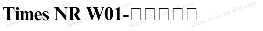 Times NR W01字体转换